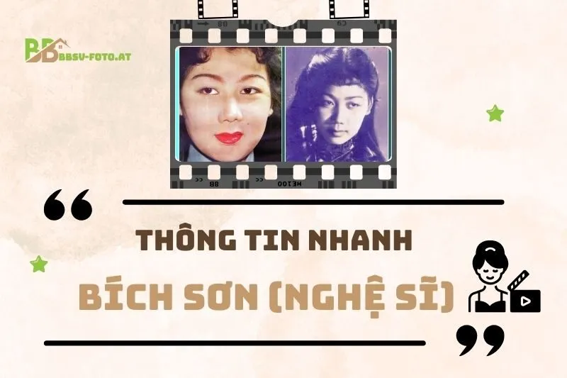 Thông tin nhanh về nghệ sĩ Bích Sơn